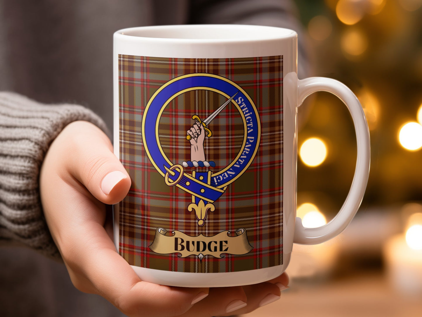 Budge Family Crest Design Tartan Pattern Mug - Living Stone Gifts